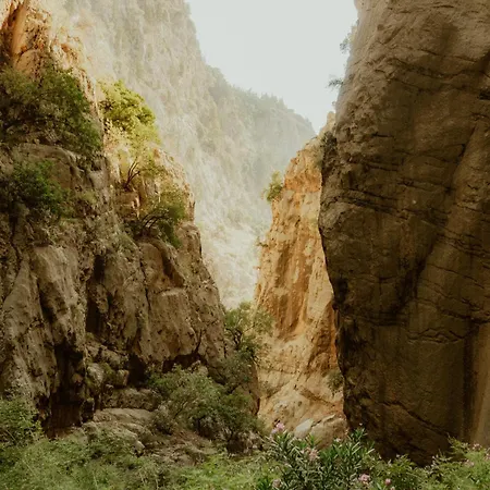 Butterfly Valley Seaside Glamping Cort de lux
