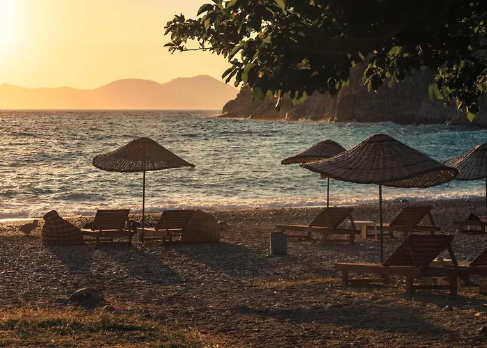 Butterfly Valley Seaside Glamping *