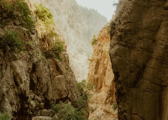 Butterfly Valley Seaside Glamping Роскошный шатер